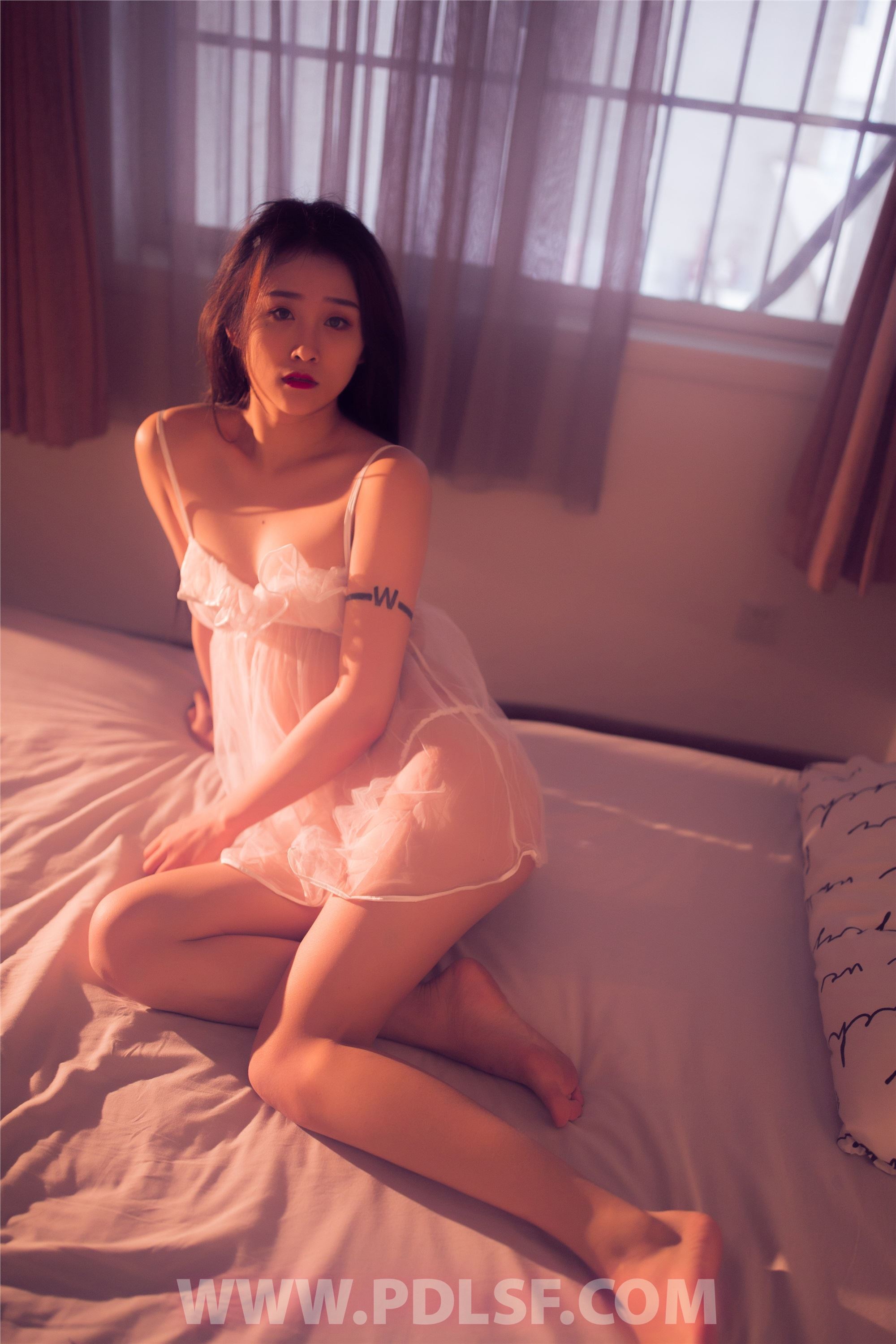 PDL潘多拉 2019.12.17 专辑No.254